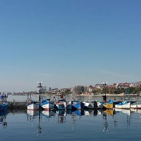Sun Coast * סבטי ולאס